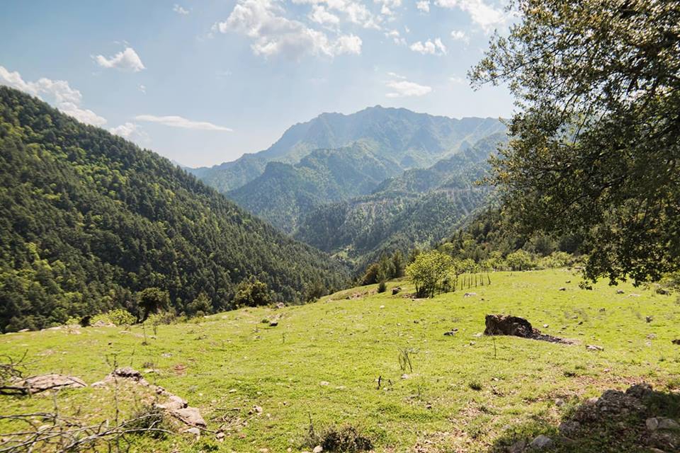 Onikişubat Topçalı Köyü Resimleri 14