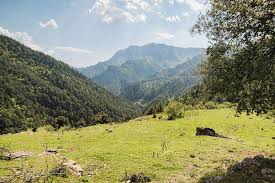 Onikişubat Topçalı Köyü Resimleri 7