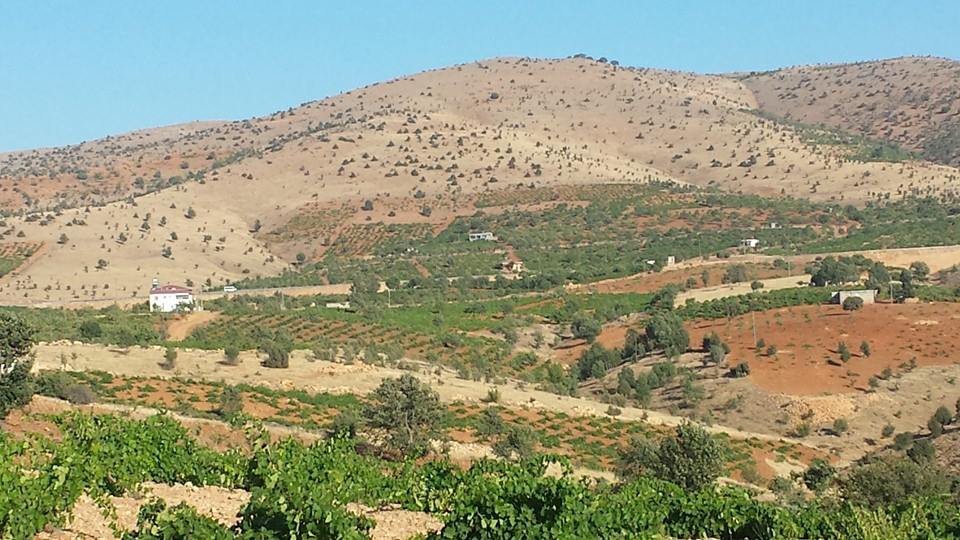 Pazarcık Kizirli Köyü Resimleri 4