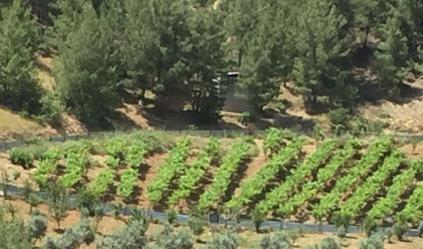 Onikişubat Yolyanı Köyü Resimleri 1