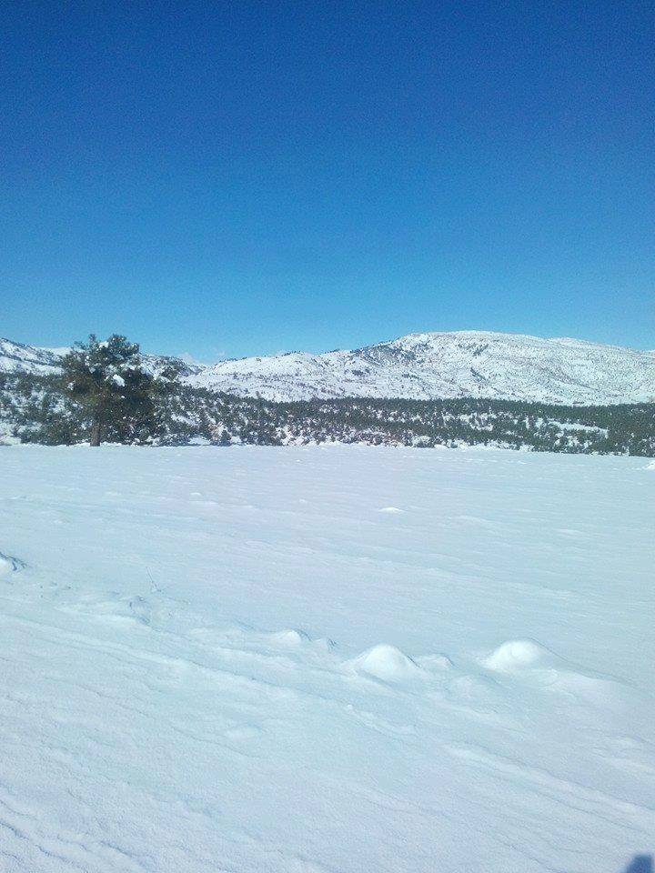 Pazarcık Payamlıbağ Köyü Resimleri 1