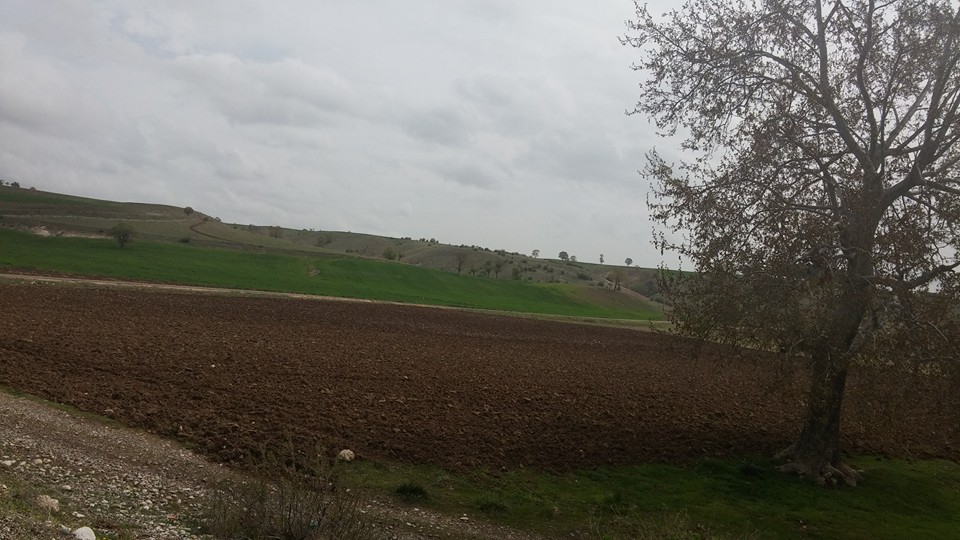 Pazarcık Payamlıbağ Köyü Resimleri 2