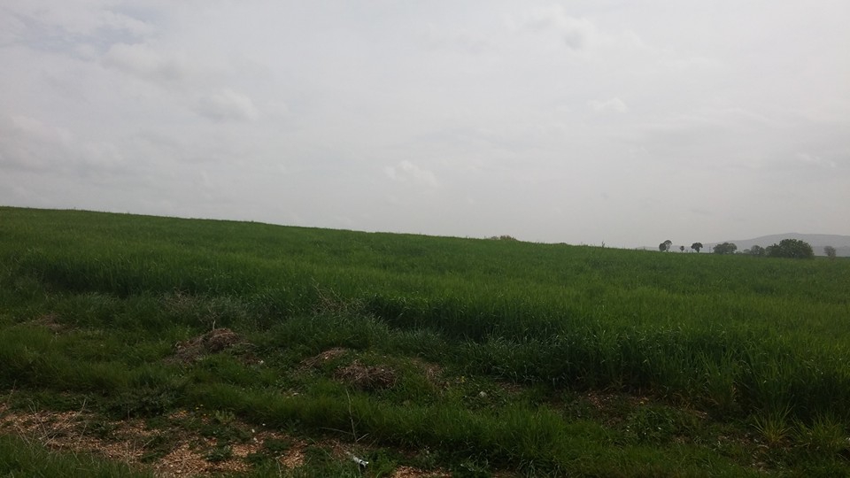 Pazarcık Payamlıbağ Köyü Resimleri 3