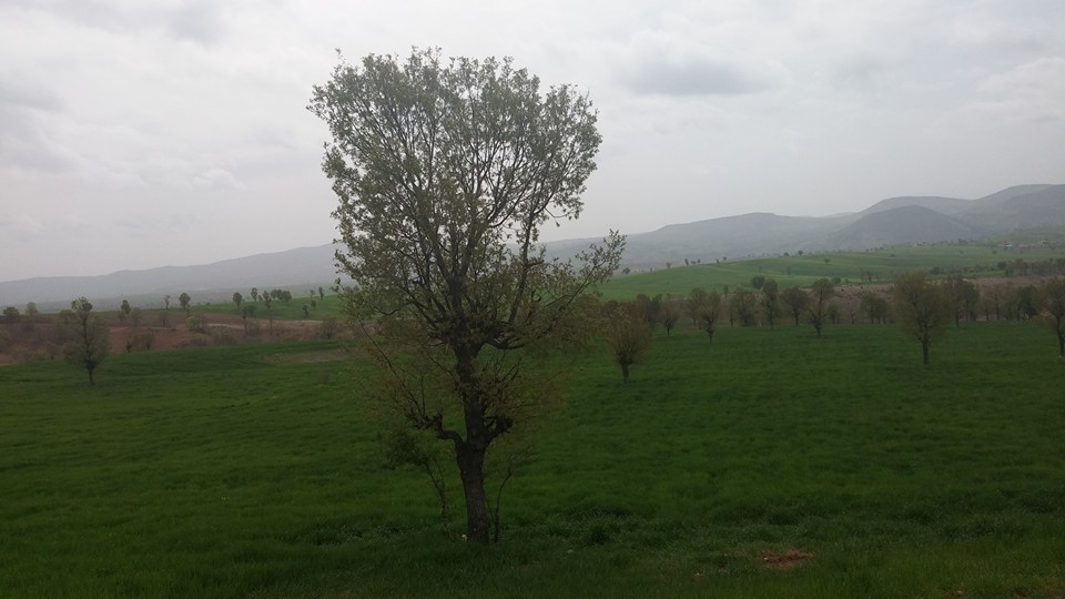 Pazarcık Payamlıbağ Köyü Resimleri 5