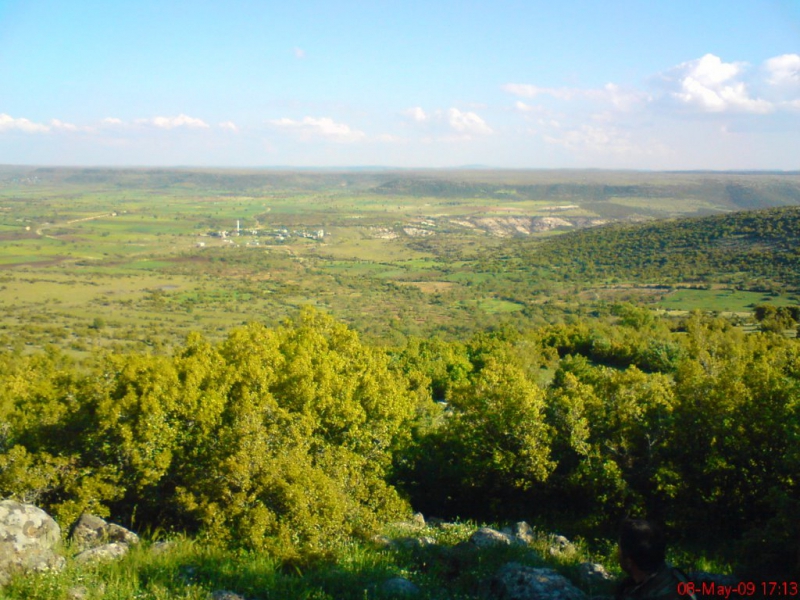 Pazarcık Sarıköy  Köyü Resimleri 7