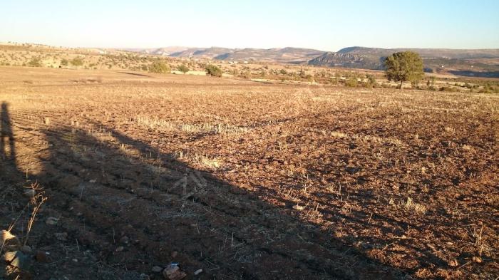 Pazarcık Tetirlik Köyü Resimleri 4