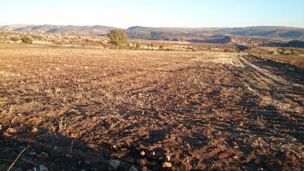 Pazarcık Tetirlik Köyü Resimleri 6