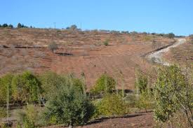 Pazarcık Tilkiler Köyü Resimleri 1