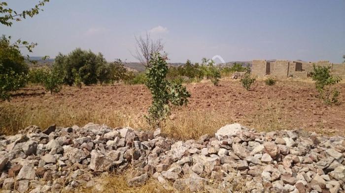 Pazarcık Tilkiler Köyü Resimleri 2