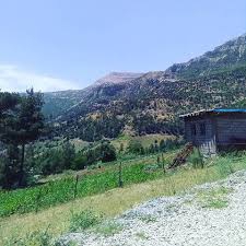 Pazarcık Tilkiler Köyü Resimleri 3