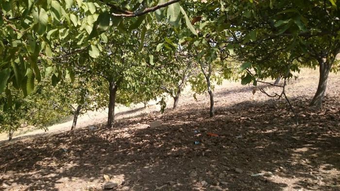 Pazarcık Tilkiler Köyü Resimleri 4