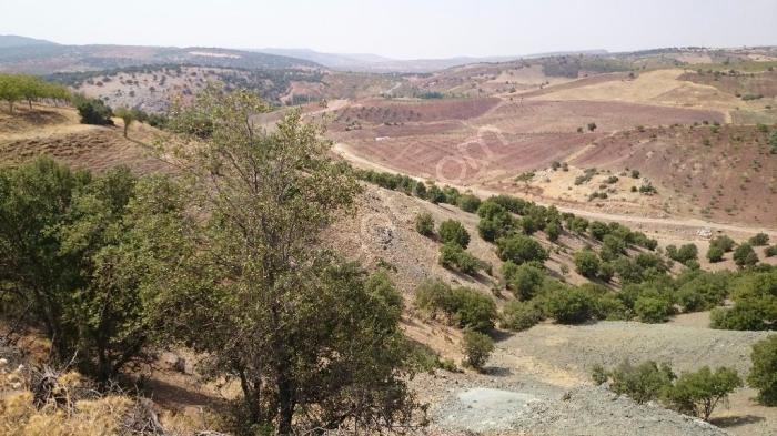 Pazarcık Tilkiler Köyü Resimleri 6