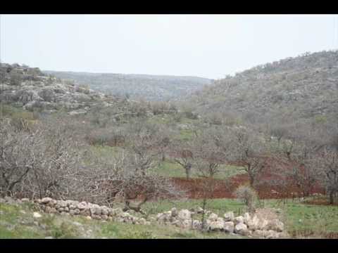 Pazarcık Tilkiler Köyü Resimleri 8