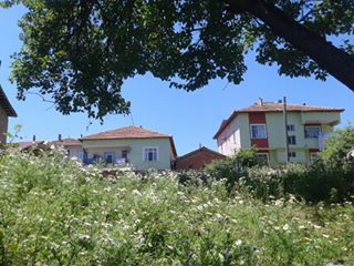 Vezirköprü Çalman Köyü 5