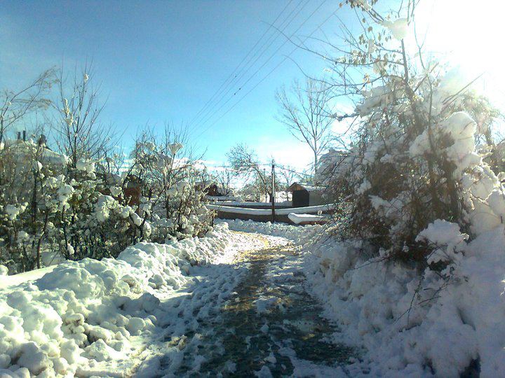 Vezirköprü Çalman Köyü 7