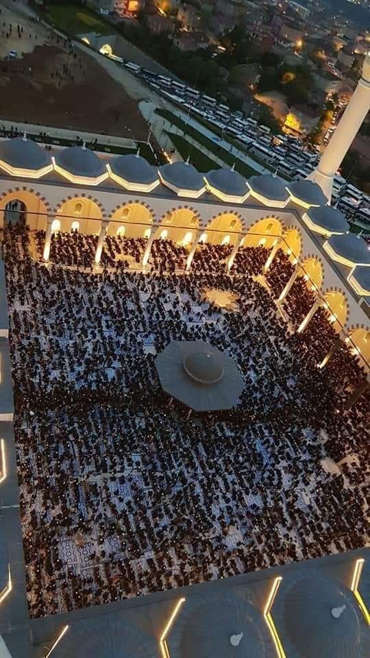 Vezirköprü Çamlıca Köyü 13