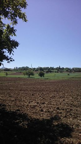 Vezirköprü Çamlıkonak Köyü 7