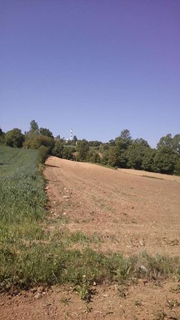 Vezirköprü Çamlıkonak Köyü 8