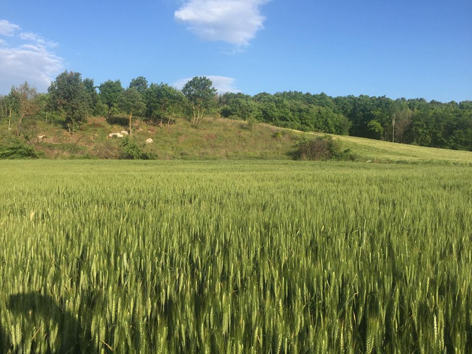 Edirne Küçükdöllük Köyü Resimleri 6