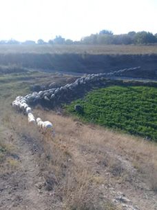 Vezirköprü Çekmeden Köyü 12