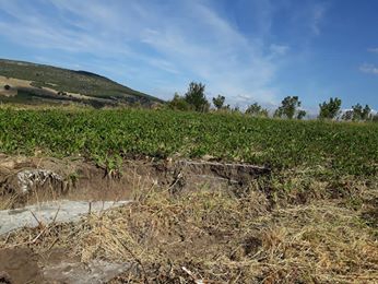 Vezirköprü Çekmeden Köyü 9