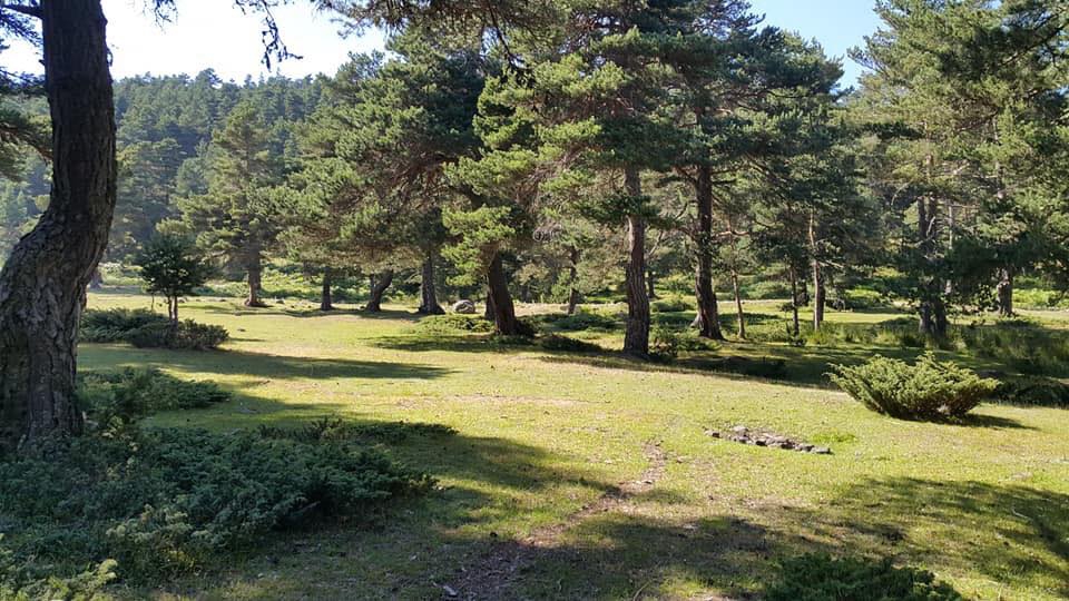 Vezirköprü Gömlekhisar Köyü 4