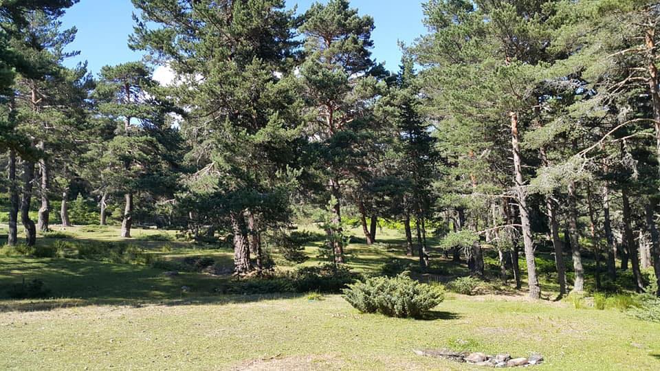 Vezirköprü Gömlekhisar Köyü 5