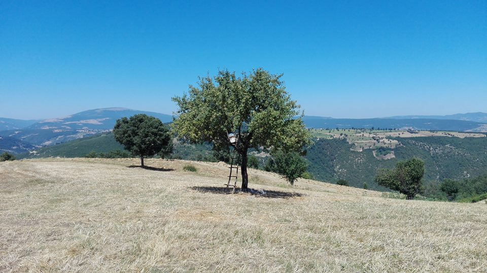 Vezirköprü Göllüalan Köyü 5