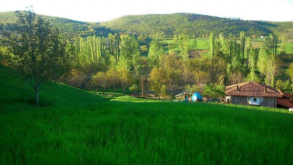 Vezirköprü Göl Köyü 1