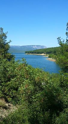 Vezirköprü Göl Köyü 2