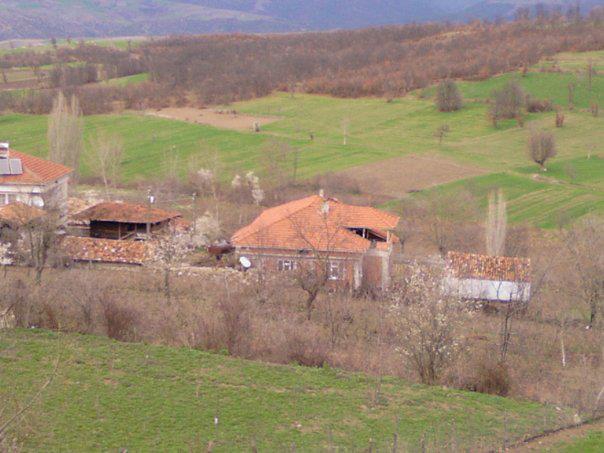 Vezirköprü Esenyurt Köyü 4