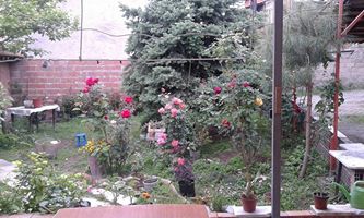 Vezirköprü Esen Köyü 3