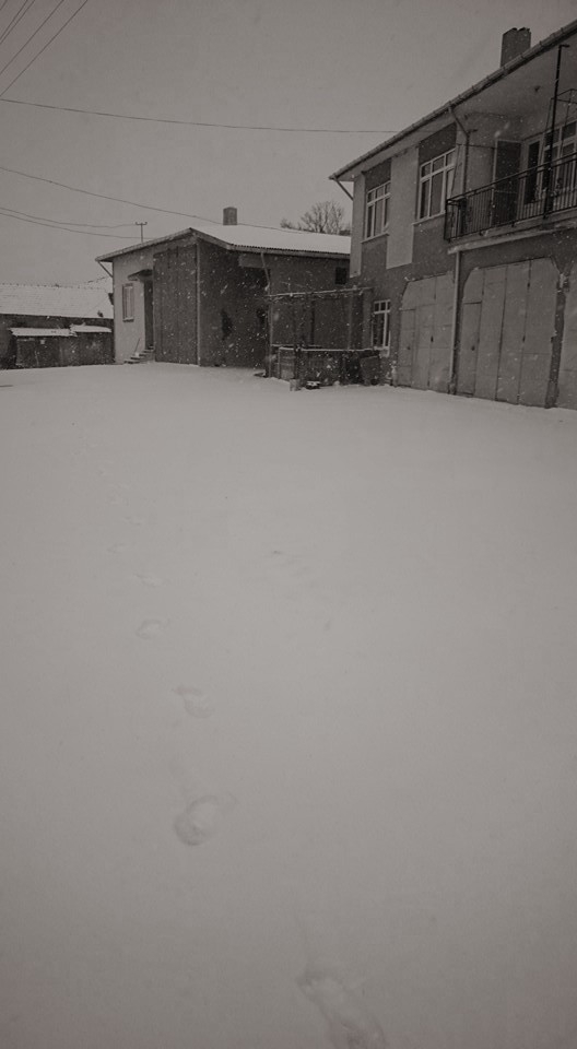 Edirne Menekşesofular Köyü Resimleri 1