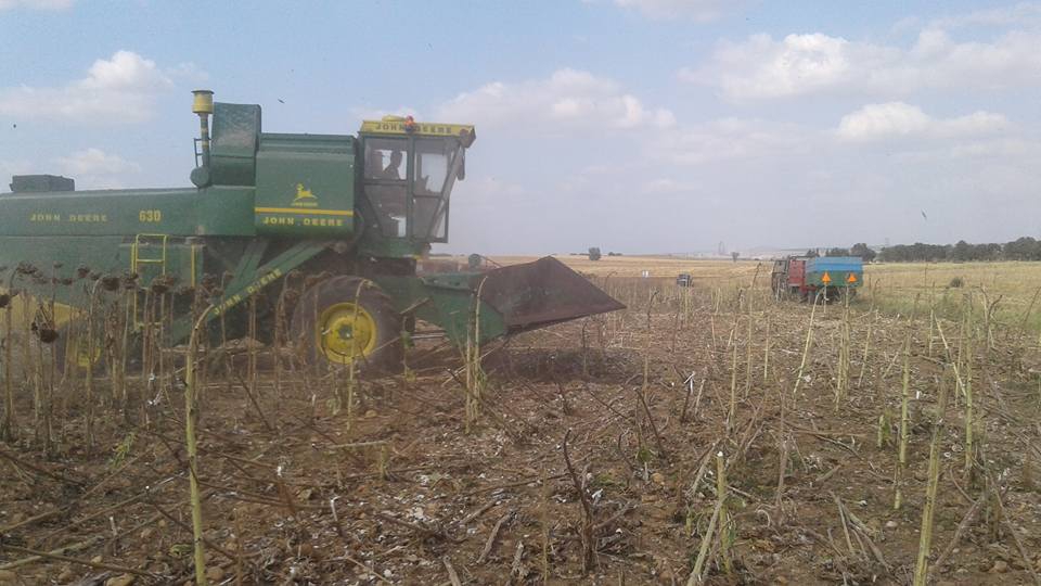 Edirne Menekşesofular Köyü Resimleri 8