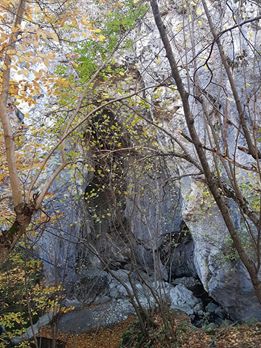 Vezirköprü Elmalı Köyü 4