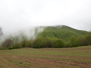 Vezirköprü Elmalı Köyü 7