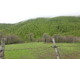 Vezirköprü Elmalı Köyü 9