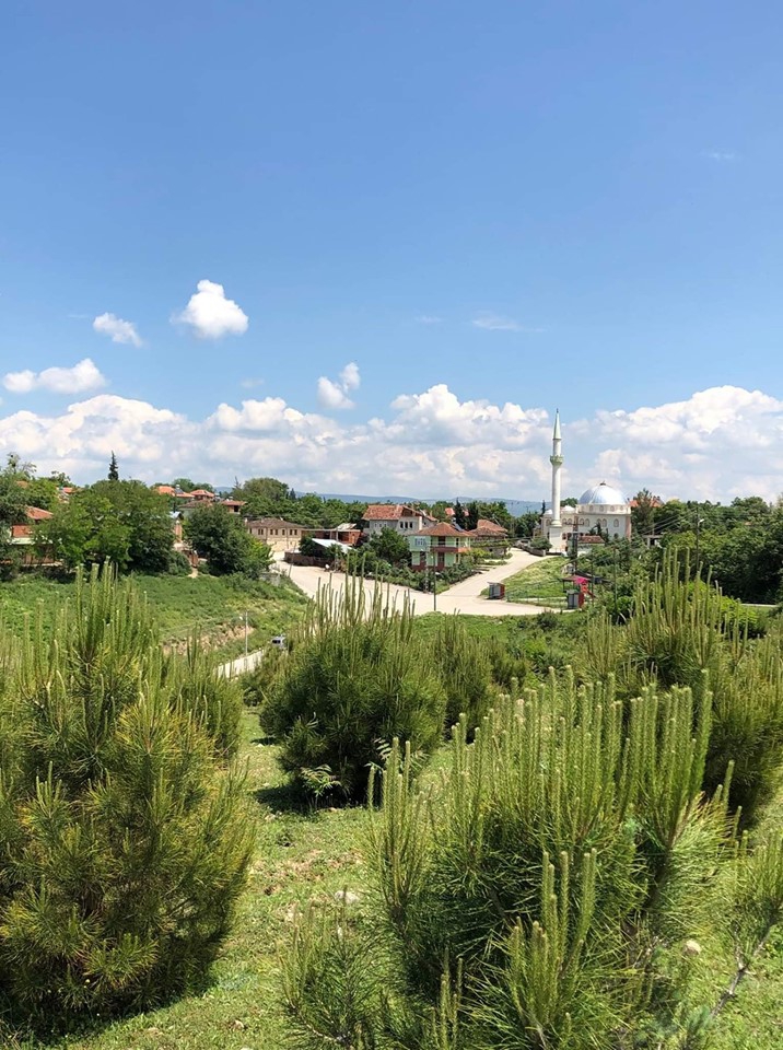 Vezirköprü Doyran Köyü 12