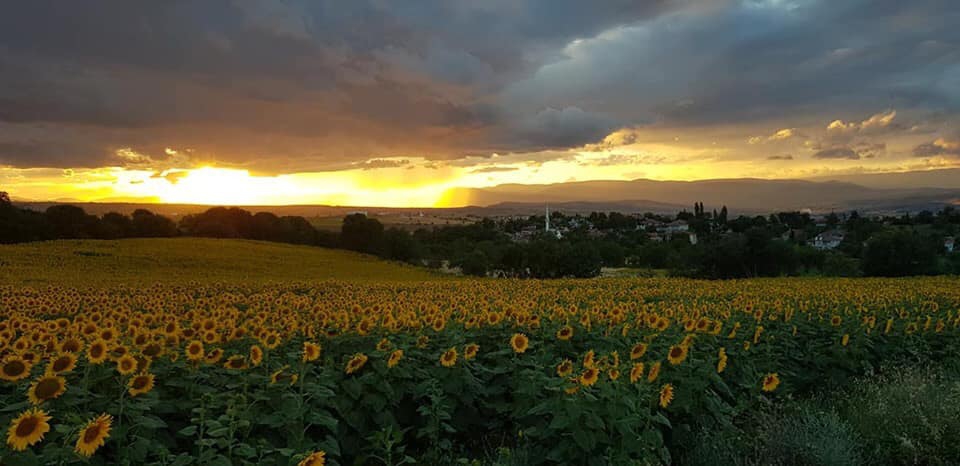 Vezirköprü Doyran Köyü 13