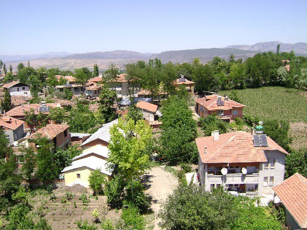 Vezirköprü Doyran Köyü 4