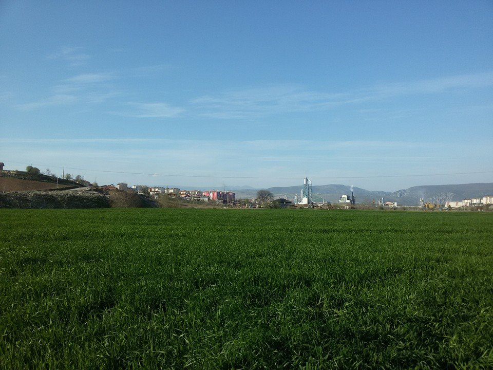 Vezirköprü Doyran Köyü 5