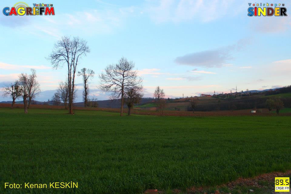 Vezirköprü Doyran Köyü 8