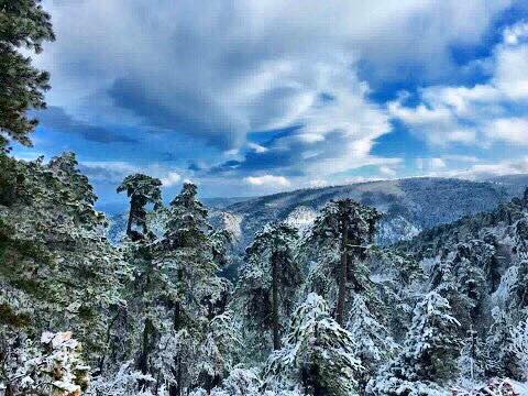 Vezirköprü Darıçayalanı Köyü 6
