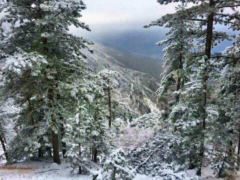 Vezirköprü Darıçayalanı Köyü 7