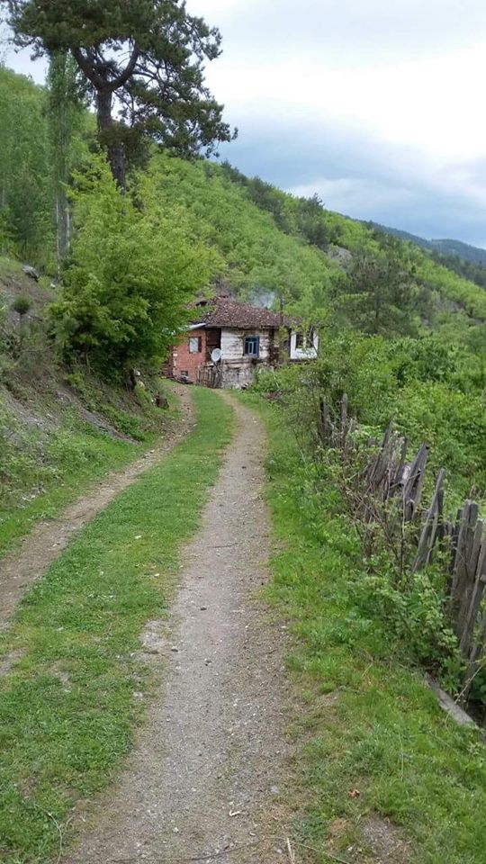 Vezirköprü Darıçay Köyü 1