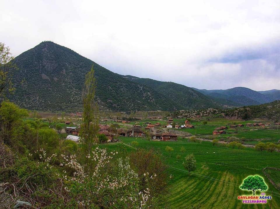 Vezirköprü Darıçay Köyü 11