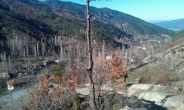 Vezirköprü Darıçay Köyü 3