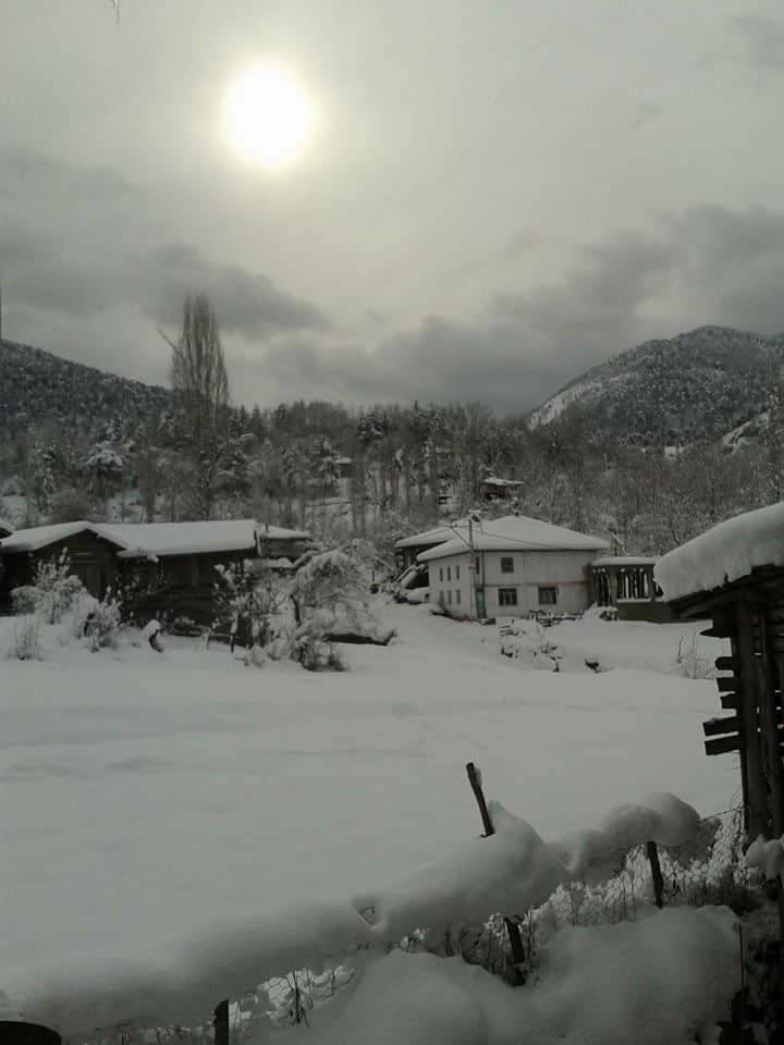 Vezirköprü Darıçay Köyü 4