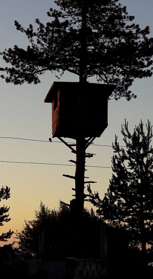 Vezirköprü Darıçay Köyü 7