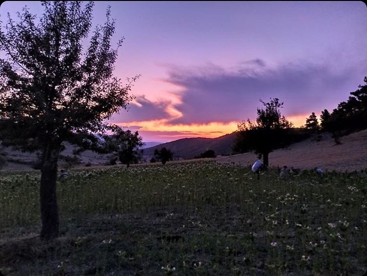 Vezirköprü Danabaş Köyü 10